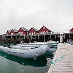 IMG_2494.jpg