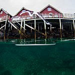 IMG_2498.jpg