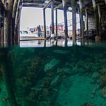 IMG_2509.jpg