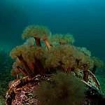 IMG_2521.jpg