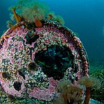 IMG_2524.jpg