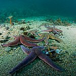 IMG_2527.jpg