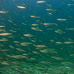IMG_2534.jpg