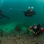 IMG_2540.jpg