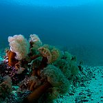 IMG_2544.jpg