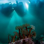 IMG_2557.jpg